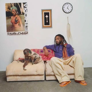 Aminé 13 Months Of Sunshine (2LP)