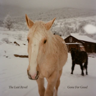 The Last Revel Gone For Good (CD)