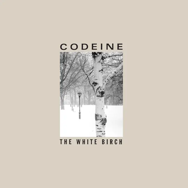 Codeine The White Birch (MC) 