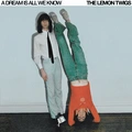 The Lemon Twigs A Dream Is All We Know (CD)