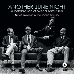Niklas Walentin &amp; Snorre Kirk Trio Another June Night (LP)