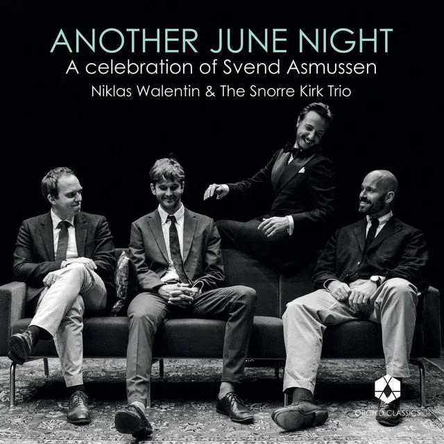 Niklas Walentin & Snorre Kirk Trio Another June Night (LP) 