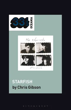 Chris Gibson The Church's Starfish (BOK)
