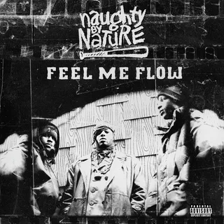 Naughty By Nature Feel Me Flow (7")
