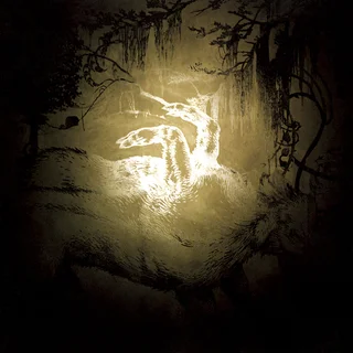 Polar Bear Held On The Tips Of Fingers (LP)