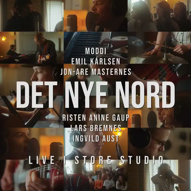 Diverse Artister Det Nye Nord - LTD (LP) 
