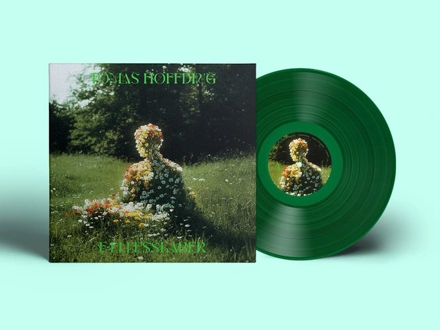 Tomas Høffding FællesSkaber - LTD (LP) 