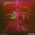 Leifur James Magic Seeds (LP)