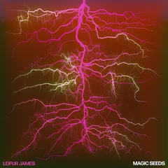 Leifur James Magic Seeds (LP)