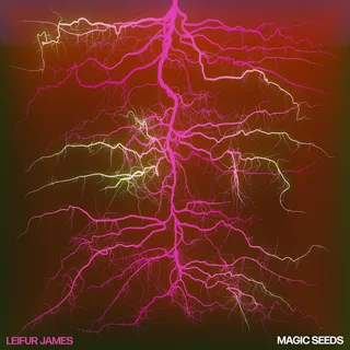 Leifur James Magic Seeds (LP)