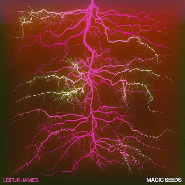 Leifur James Magic Seeds (LP) 