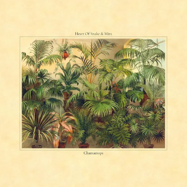 Heart Of Snake & Mira Chamaerops (LP) 