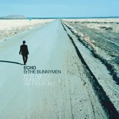 Echo &amp; The Bunnymen What Are You Going To Do With Your… (LP)