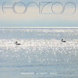 Resavoir &amp; Matt Gold Horizon (LP)