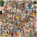 Goose Everything Must Go (2CD)