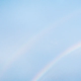 Turnstile Never Enough (LP)