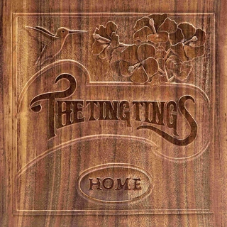 The Ting Tings Home (LP)