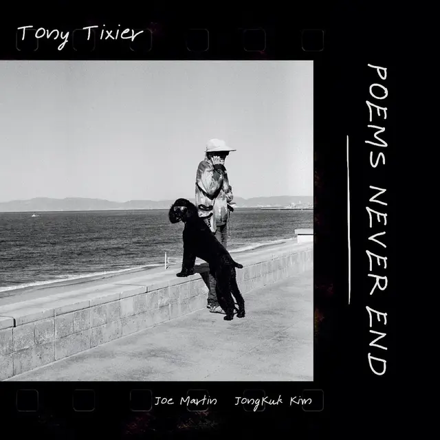 Tony Tixier Poems Never End (LP) 