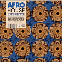Diverse Artister Afro House Experience (2LP)