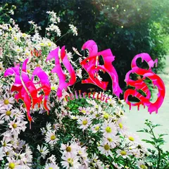 The HIRS Collective We're Still Here - LTD (LP)