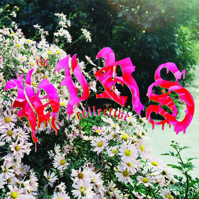 The HIRS Collective We're Still Here - LTD (LP) 
