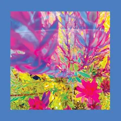 The Reds, Pinks And Purples The Past Is A Garden I Never… - LTD (LP)