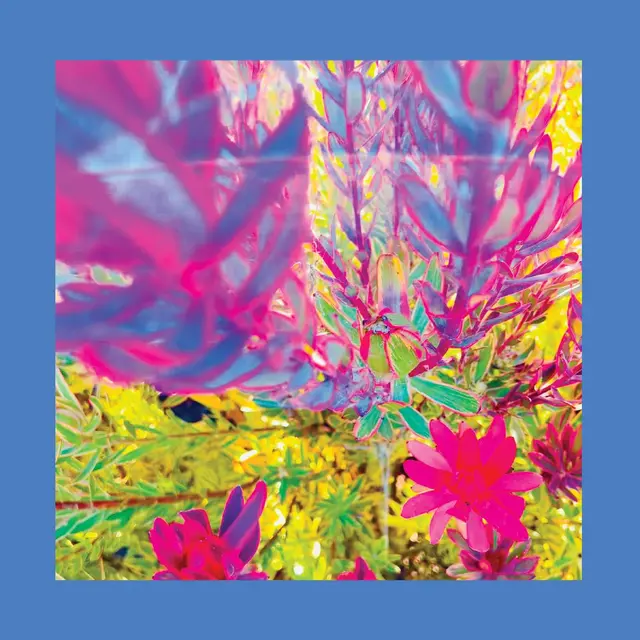 The Reds, Pinks And Purples The Past Is A Garden I Never… - LTD (LP) 