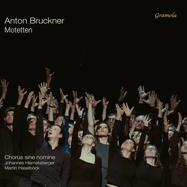 Chorus Sine Nomine Bruckner: Motetten (LP) 