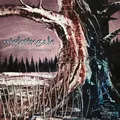 Nightingale Closing Chronicles (LP)