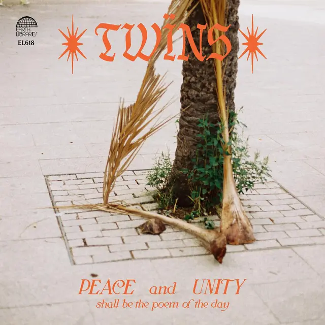 Twins Healing Dreams - LTD (LP) 