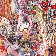 The Bug Club Very Human Features (LP)