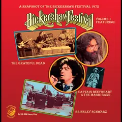 Diverse Artister A Snapshot Of The Bickershaw… (LP)