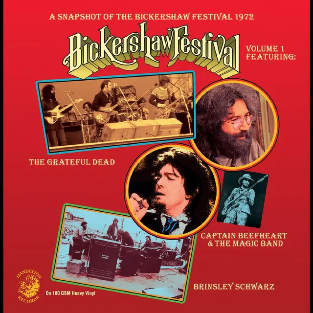 Diverse Artister A Snapshot Of The Bickershaw… (LP) 