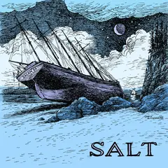 Salem 66 Salt - LTD (LP)