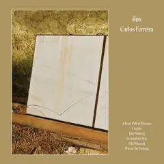 Carlos Ferreira Flux (LP)