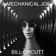 Bill Orcutt A Mechanical Joey (LP)