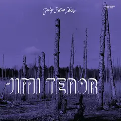 Jimi Tenor &amp; Cold Diamond &amp; Mink July Blue Skies (LP)