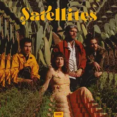Satellites Satellites - LTD  (LP)