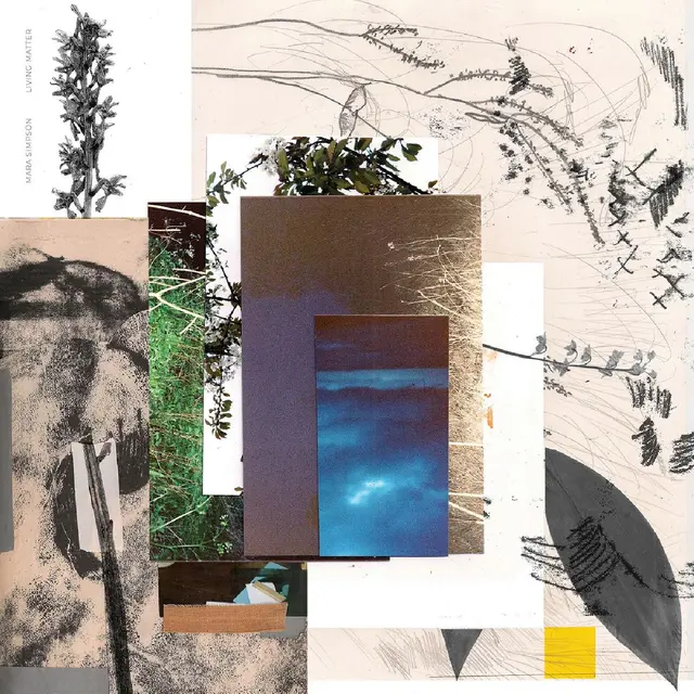 Mara Simpson Living Matter (LP) 