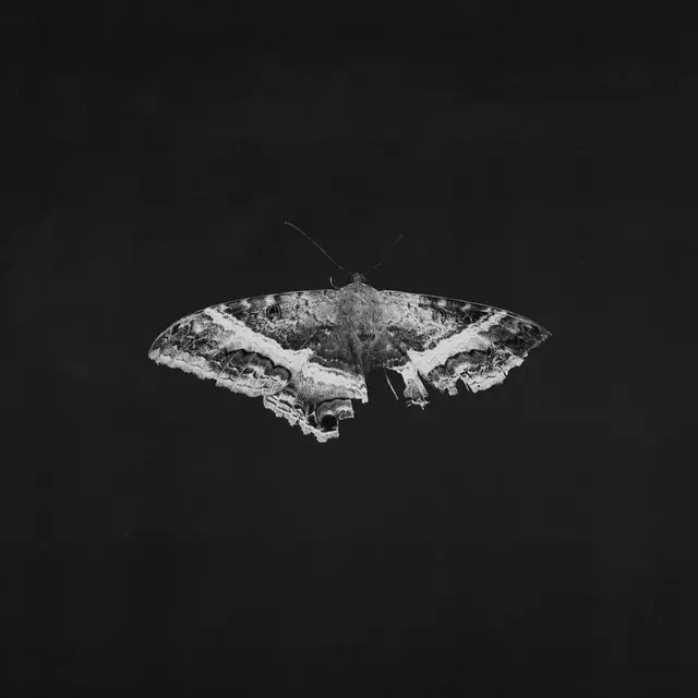 Kendrick Lamar To Pimp A Butterfly: 10… - LTD (2LP) 