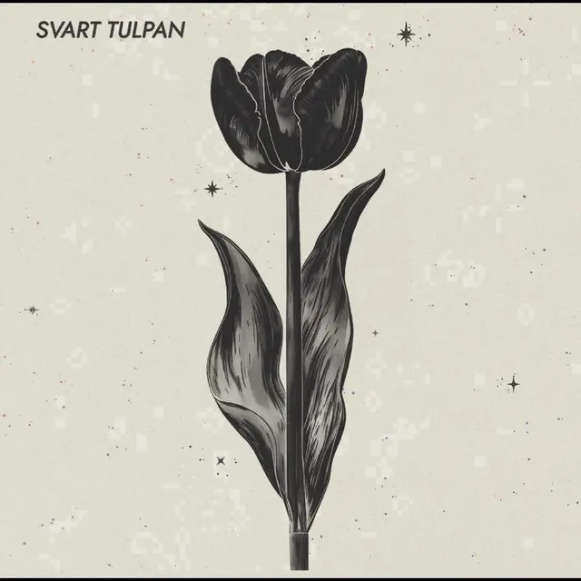 Svart Tulpan Svart Tulpan - LTD (LP) 
