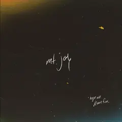 Mt. Joy Hope We Have Fun - LTD (LP)