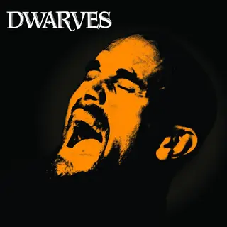 Dwarves Rex Everything (LP)