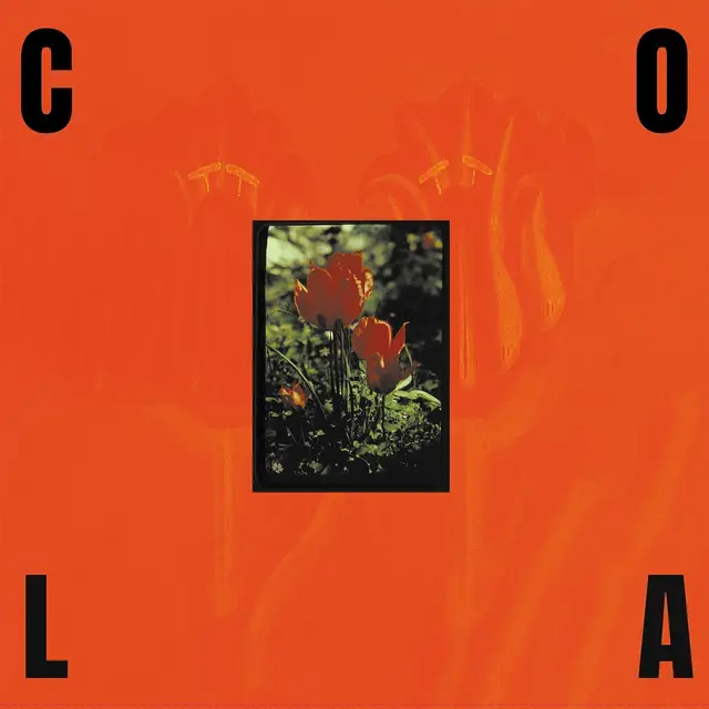 Cola The Gloss - LTD (LP) 