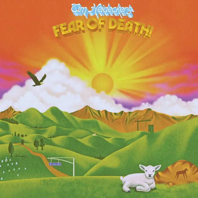 Tim Heidecker Fear Of Death (LP) 