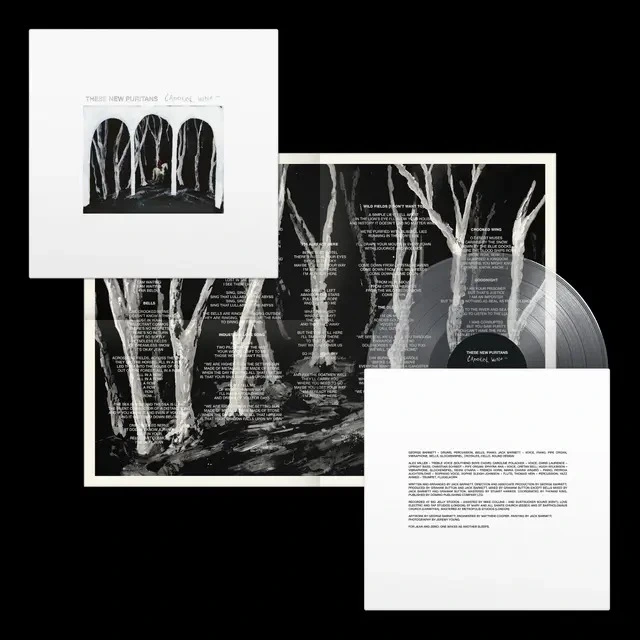 These New Puritans Crooked Wing - LTD (LP) 