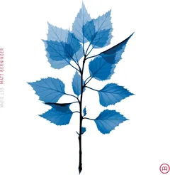 Matt Berninger Get Sunk - LTD (LP)