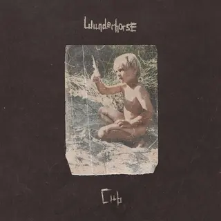 Wunderhorse Cub (CD)