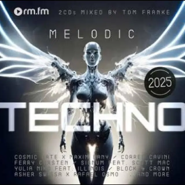 Diverse Artister Melodic Techno 2025 (LP) 