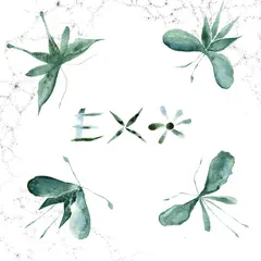 Exo Exo (LP)
